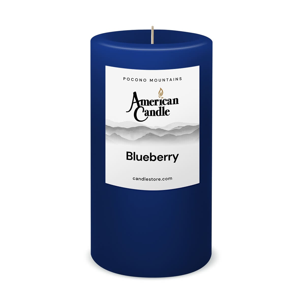Blueberry Scented 3x6 Pillar Candle by American Candle