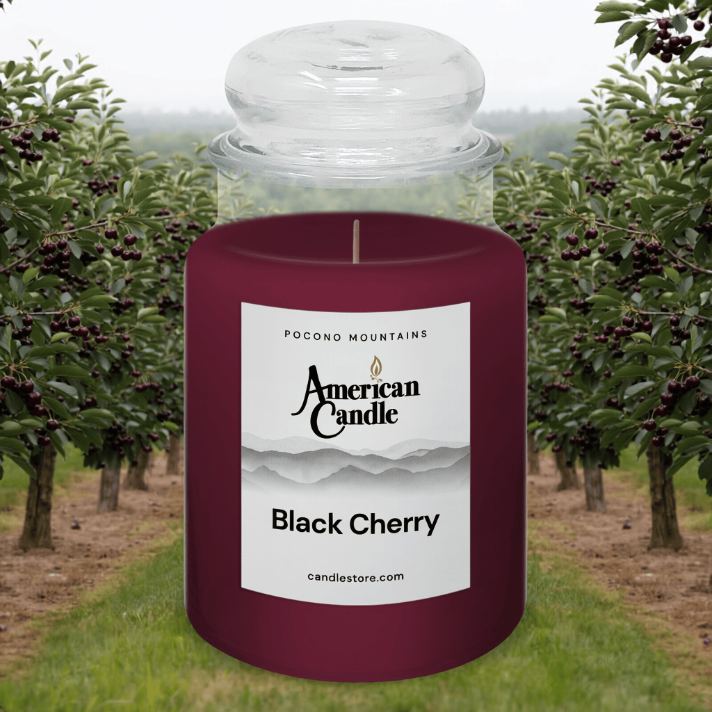 American Candle Black Cherry jar scented candle in a black cherry orchard