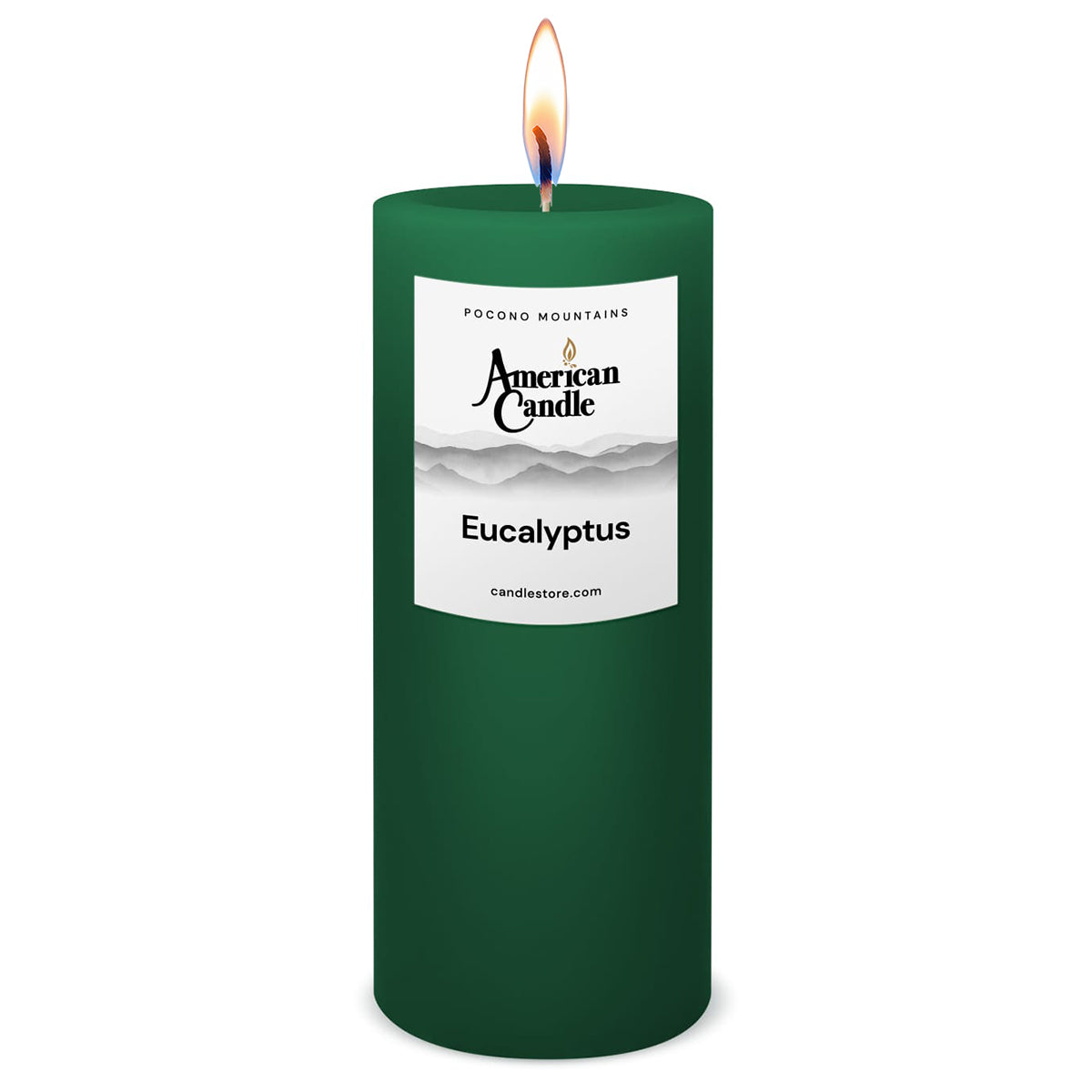 American Candle Eucalyptus 3x9 Scented Pillar Candle with Flame - Made in the USA