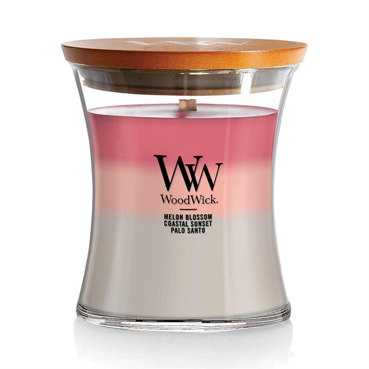 Shoreline Trilogy Scented Medium Glass Jar Candle by WoodWick NW1684177