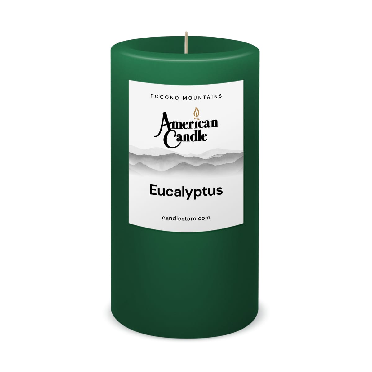 Eucalyptus Scented 3x6 Pillar Candle by American Candle