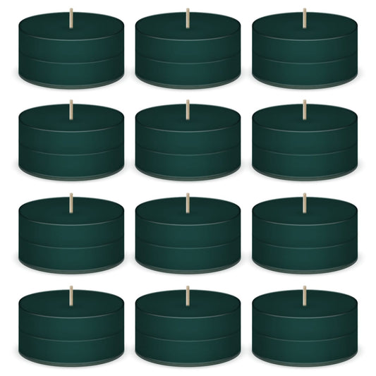 Balsam Fir Scented Tea Lights Candles by American Candle - 12 Pack