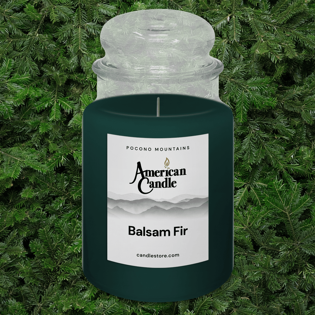 American Candle  Balsam Fir scented jar candle scent with a green  pine foliage background
