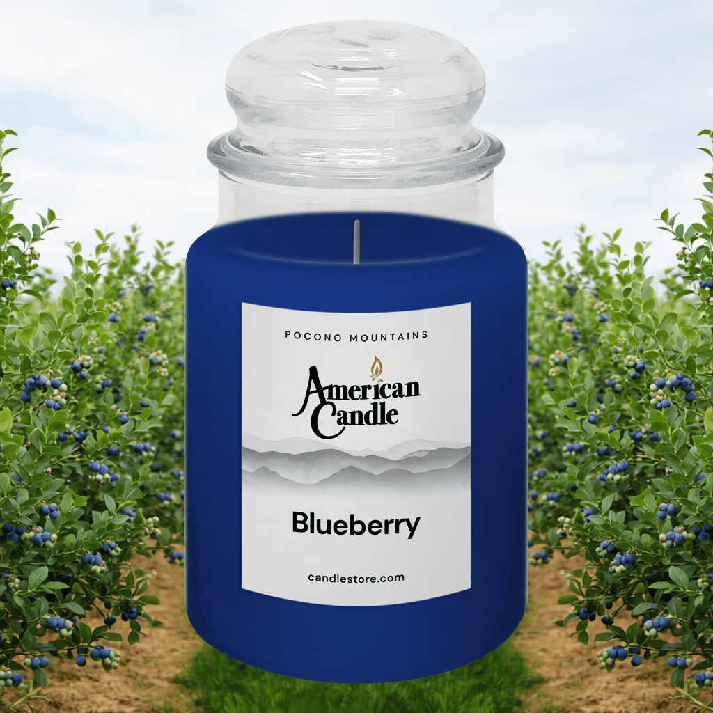 American Candle Blueberry-scented candle in a jar within blueberries orchard