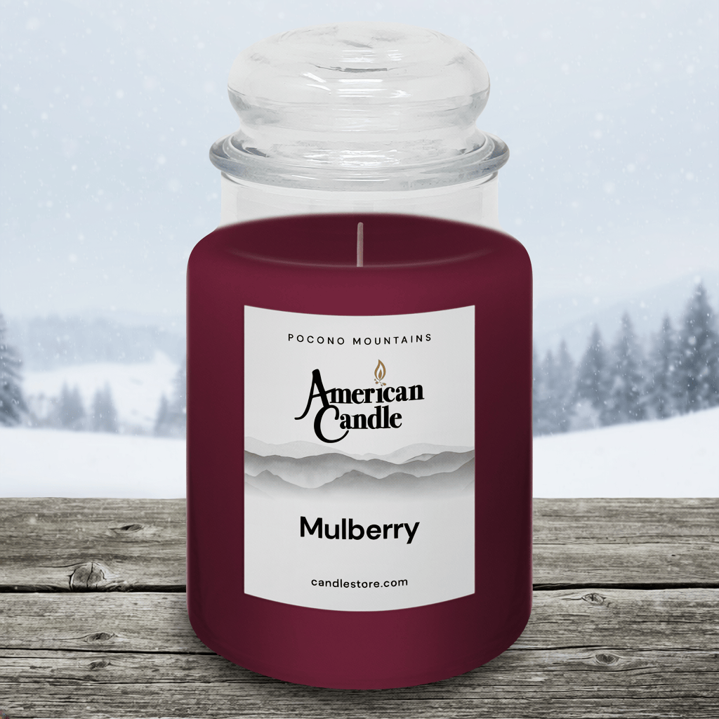 American Candle Mulberry Scented Jar Candle on a Wooden Table in front of a Snowy Winter Scene