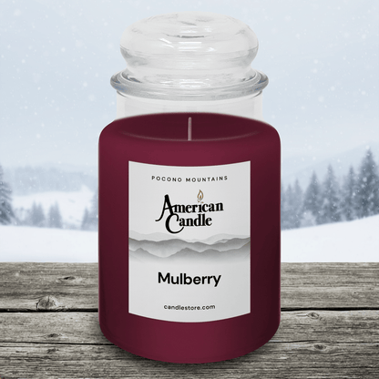 American Candle Mulberry Scented Jar Candle on a Wooden Table in front of a Snowy Winter Scene