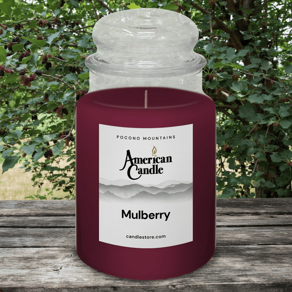 American Candle Mulberry jar scented candle on a wooden table with a Mulberry Tree in background