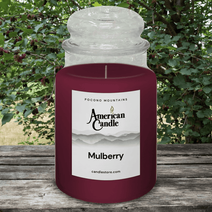 American Candle Mulberry jar scented candle on a wooden table with a Mulberry Tree in background