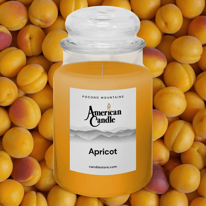 American Candle Apricot Jar Scented Candle surrounded by apricots