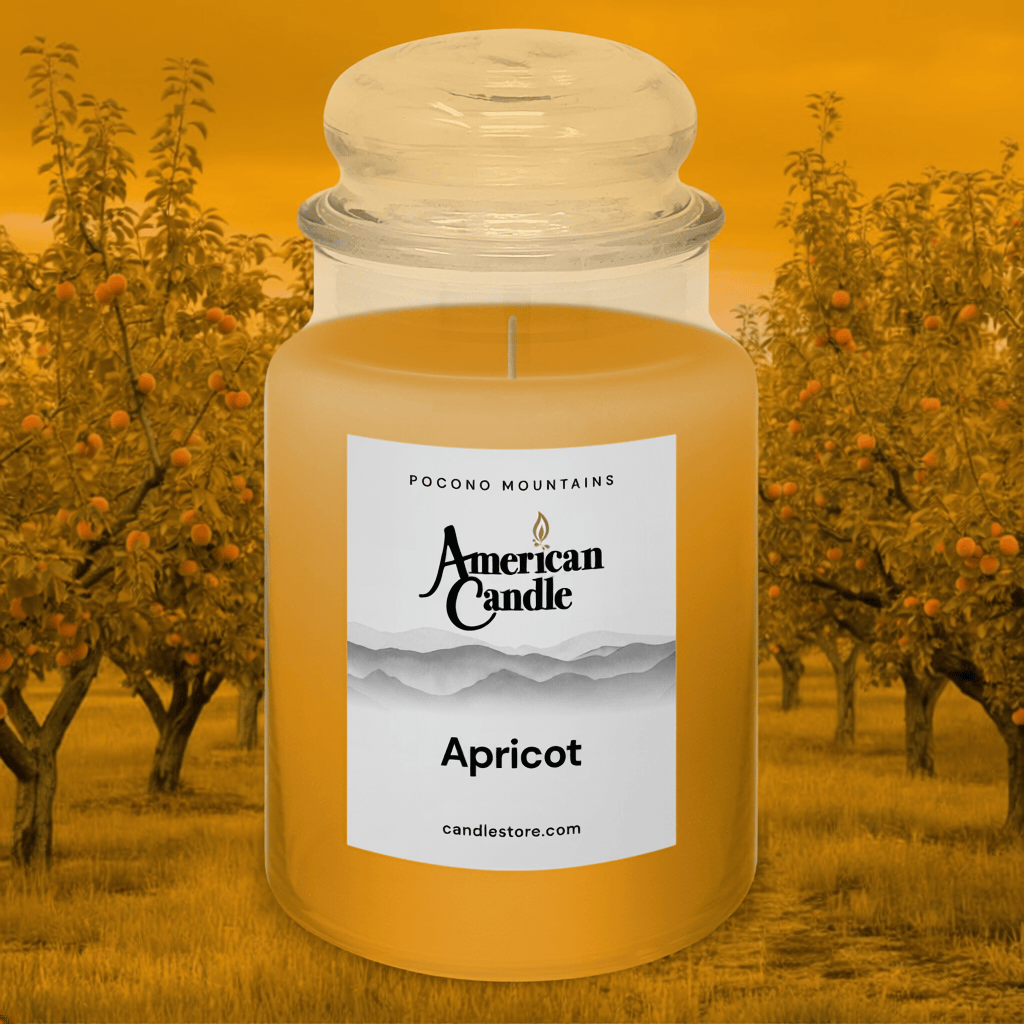 American Candle Apricot scented jar candle with an orchard background