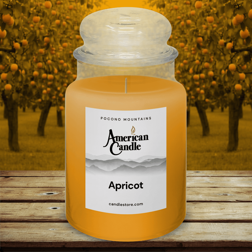 American Candle Apricot Scented candle in a jar with an orchard background on Wooded Bench