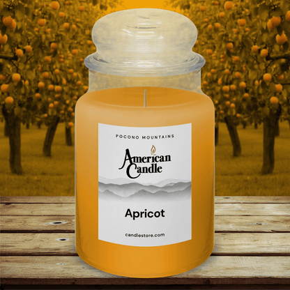 American Candle Apricot Scented candle in a jar with an orchard background on Wooded Bench