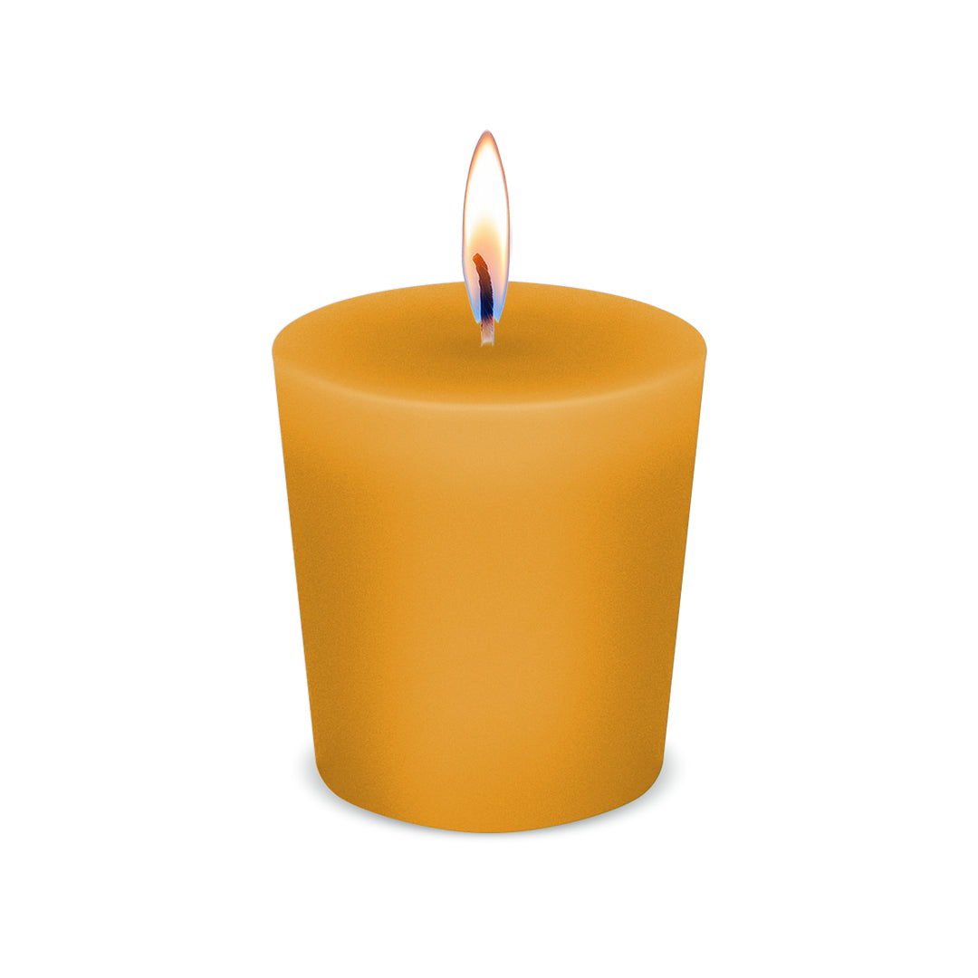 American Candle Apricot Votive Scented Candle with Flame - Made in the USA