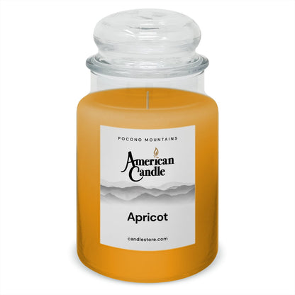 American Candle Apricot 22 oz Glass Jar Scented Candle - Made in the USA