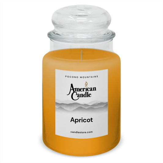American Candle Apricot 22 oz Glass Jar Scented Candle - Made in the USA