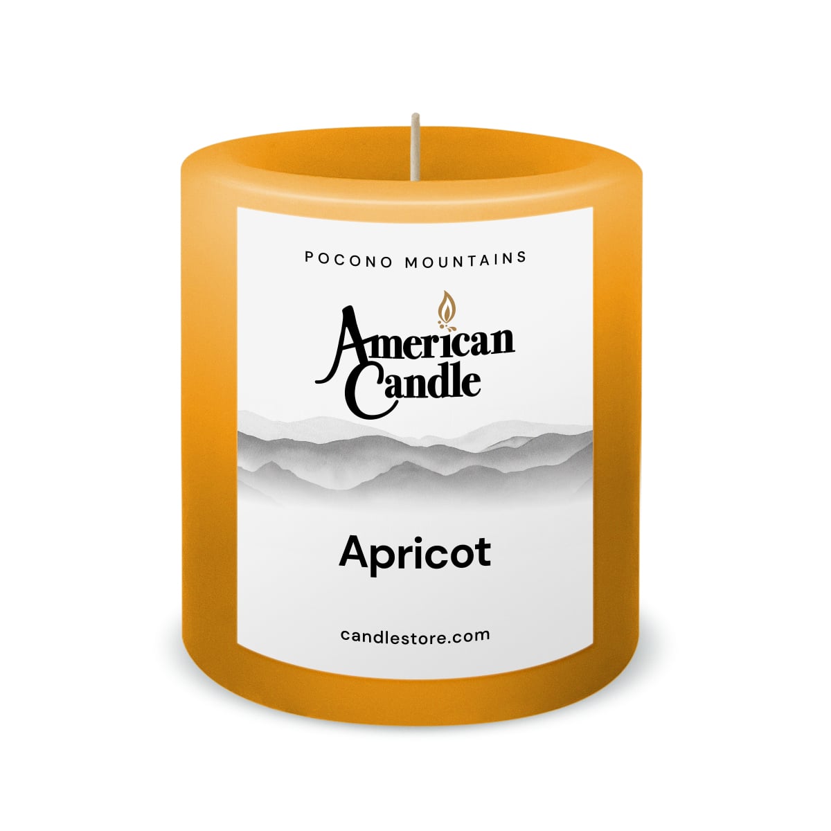 American Candle Apricot 3x3 Scented Pillar Candle - Made in the USA