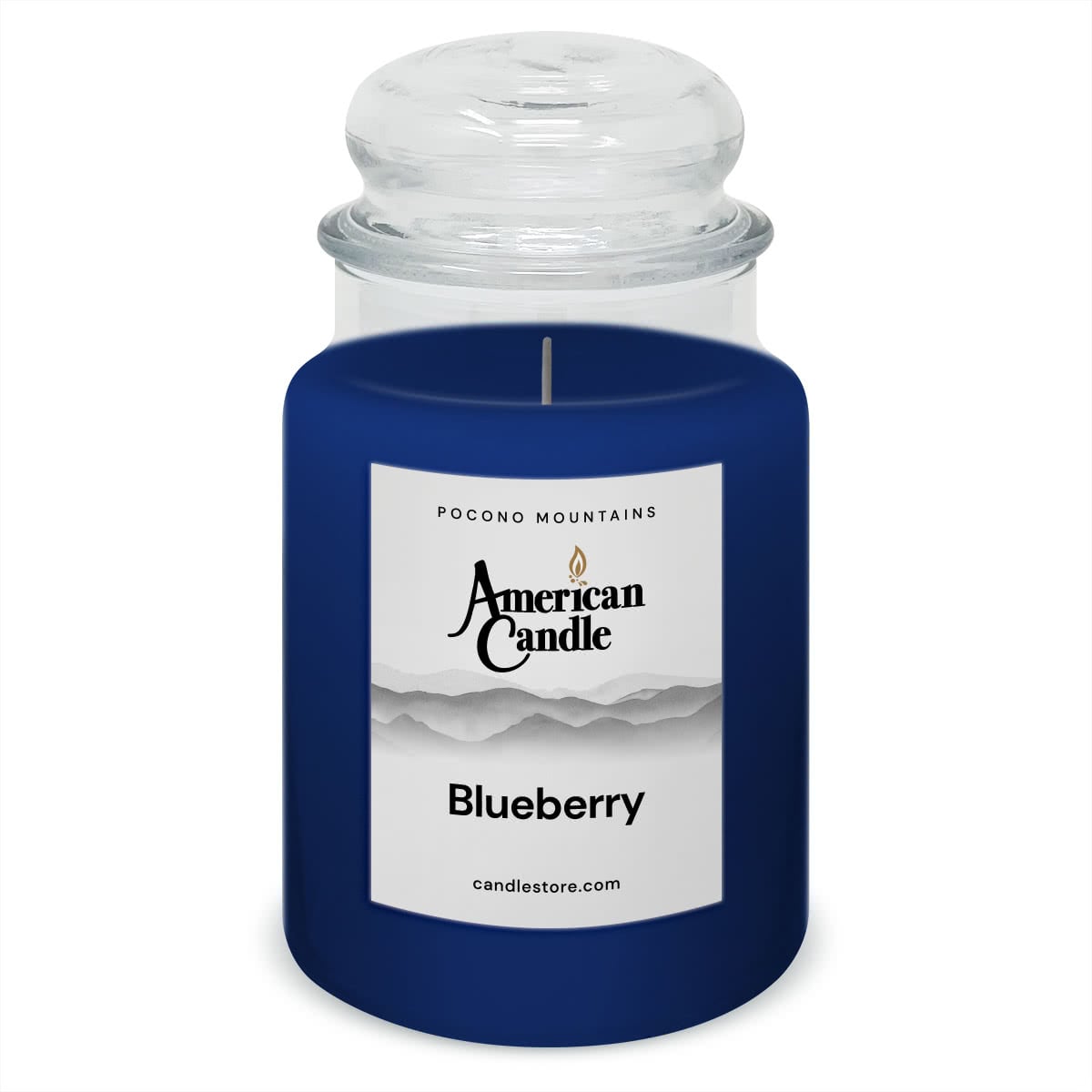American Candle Blueberry 22 oz Glass Jar Scented Candle - Made in the USA