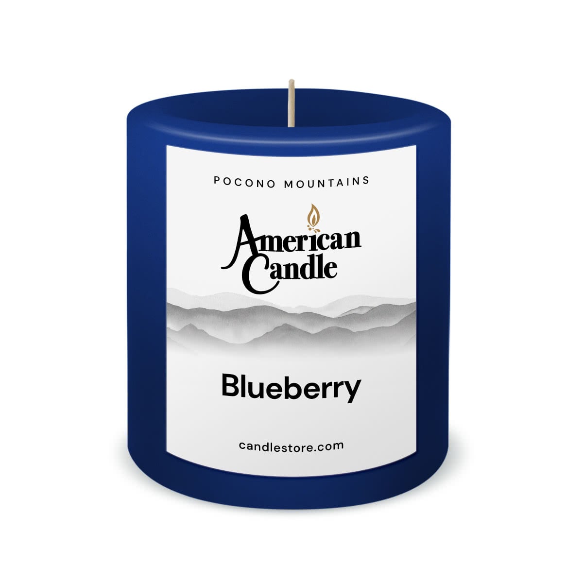 American Candle Blueberry 3x3 Scented Pillar Candle - Made in the USA