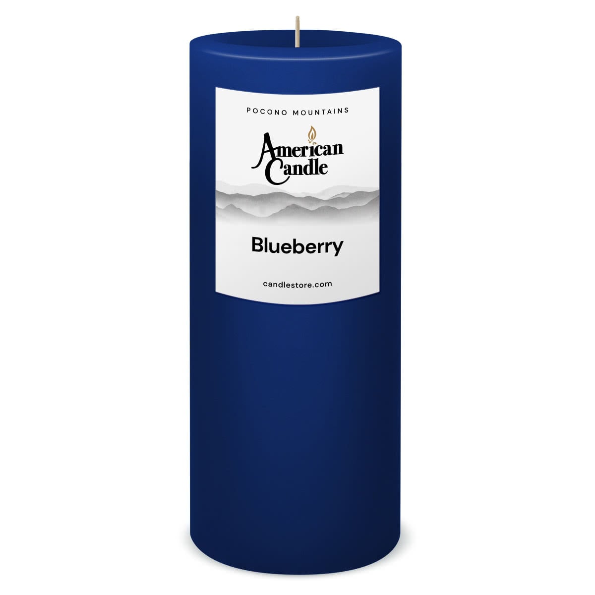 American Candle Blueberry 3x9 Scented Pillar Candle - Made in the USA