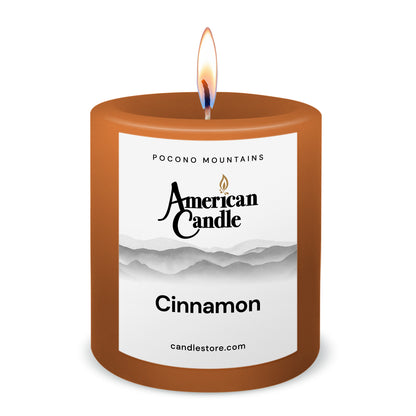 American Candle Cinnamon 3x3 Scented Pillar Candle with Flame - Made in the USA