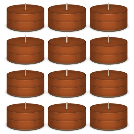 Cinnamon Scented Tea Lights Candles by American Candle - 12 Pack