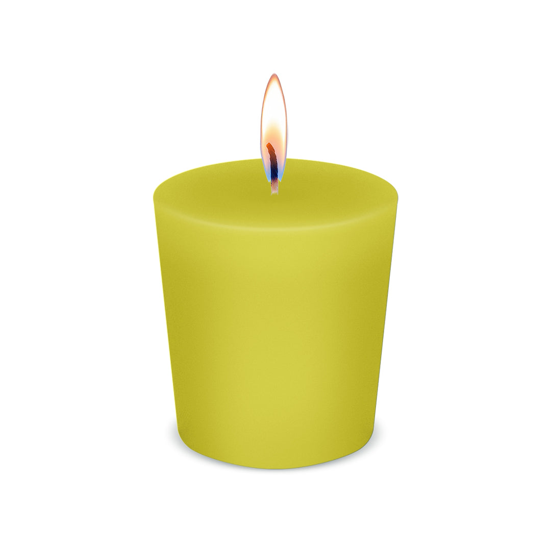 American Candle Citrus Garden Scented Votive Candle with Flame - Made in the USA