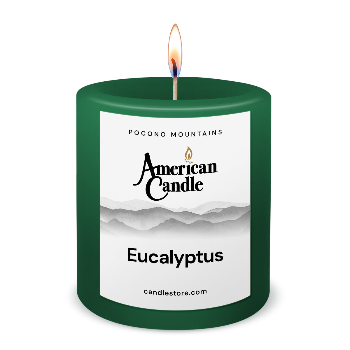 American Candle Eucalyptus 3x3 Scented Pillar Candle with Flame - Made in the USA