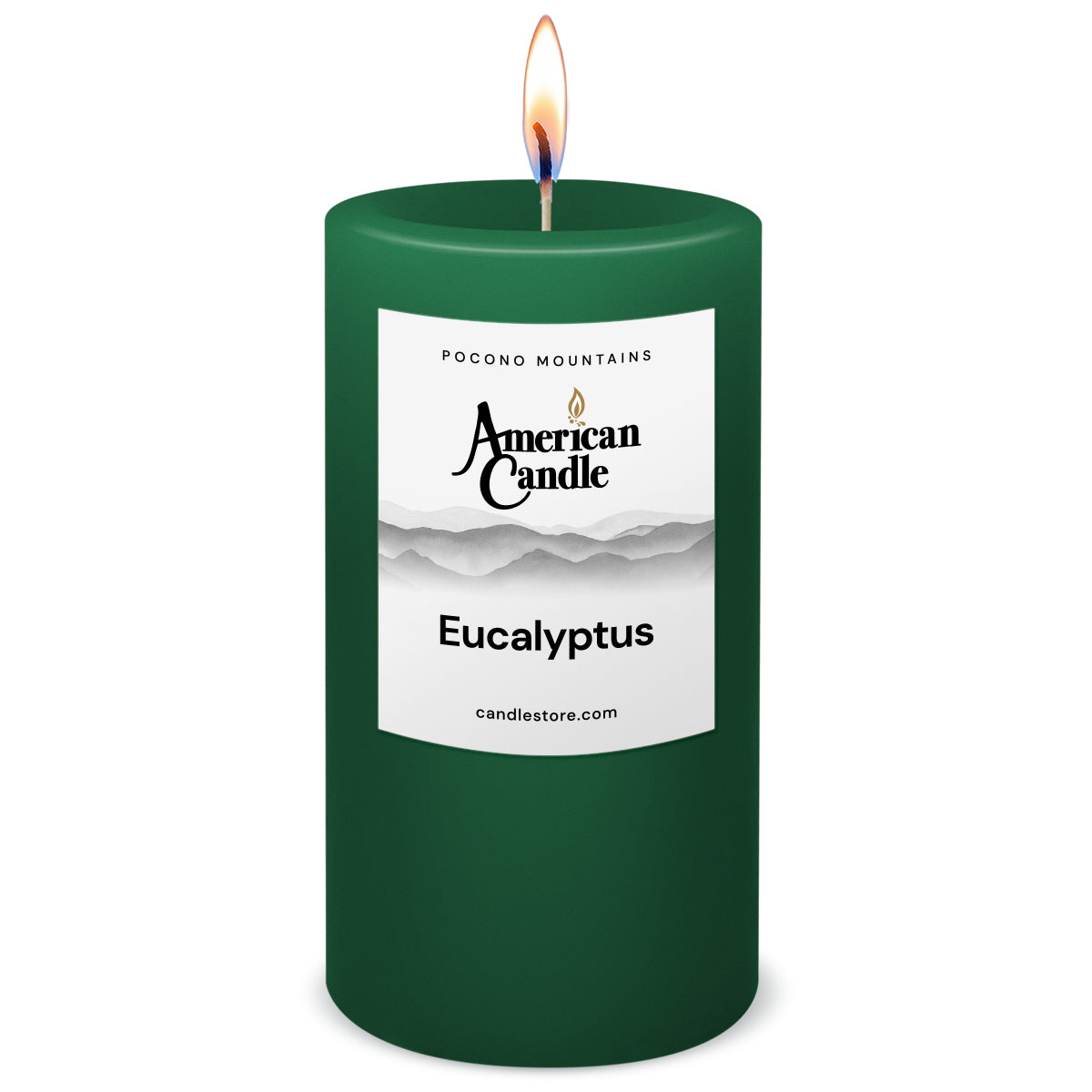 American Candle Eucalyptus 3x6 Scented Pillar Candle with Flame - Made in the USA