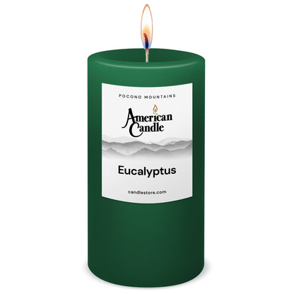 American Candle Eucalyptus 3x6 Scented Pillar Candle with Flame - Made in the USA