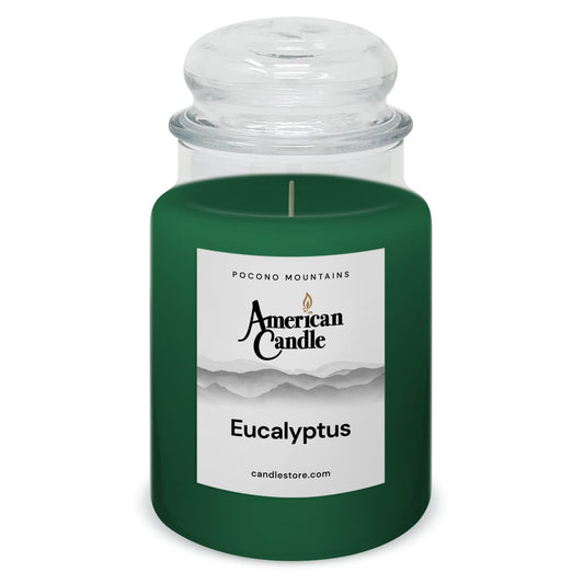 American Candle Eucalyptus 22 oz Glass Jar Scented Candle - Made in the USA
