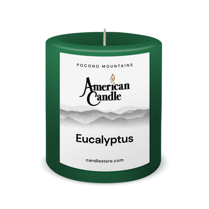 American Candle Eucalyptus 3x3 Scented Pillar Candle - Made in the USA