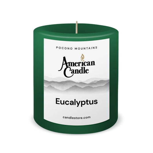 American Candle Eucalyptus 3x3 Scented Pillar Candle - Made in the USA