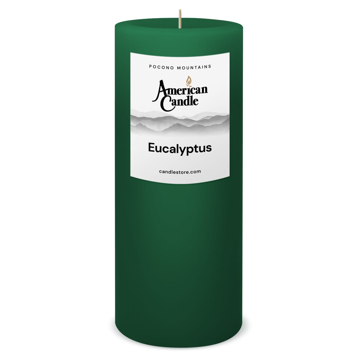 American Candle Eucalyptus 3x9 Scented Pillar Candle - Made in the USA