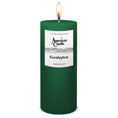American Candle Eucalyptus 3x9 Scented Pillar Candle with Flame - Made in the USA