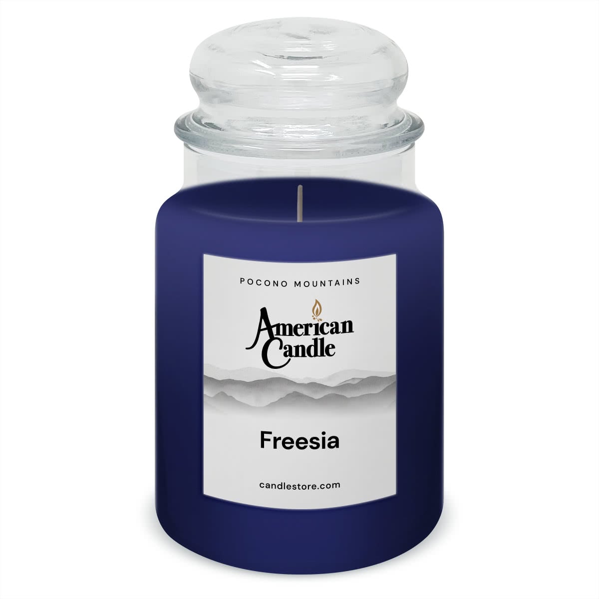 American Candle Freesia 22 oz Glass Jar Scented Candle - Made in the USA