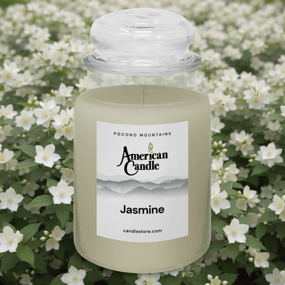 American Candle Jasmine jar scented candle with a Jasmine floral background