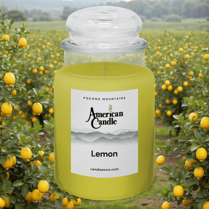 American Candle Scented Jar Candle with a lemon field orchard in background