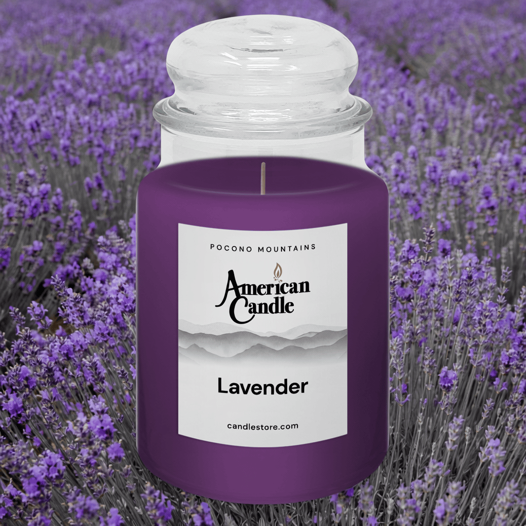 American Candle Lavender Scented Jar candle with lavender field orchard background