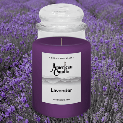 American Candle Lavender Scented Jar candle with lavender field orchard background
