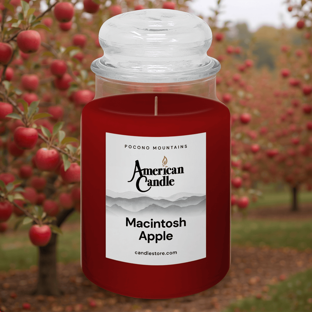 American Candle Macintosh Apple scented jar candle with an apple orchard in the background
