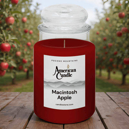 American Candle Macintosh Apple scented jar candle with an apple orchard in the background