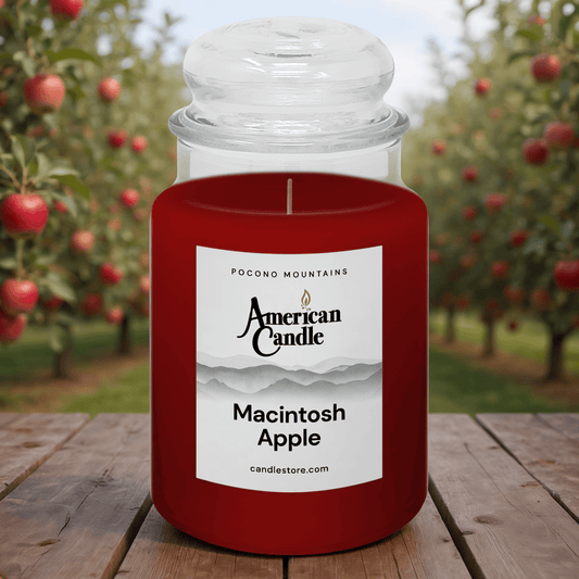 American Candle Macintosh Apple scented jar candle with an apple orchard in the background