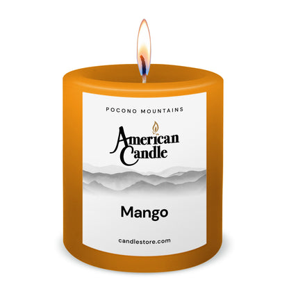 American Candle Mango Apple 3x3 Scented Pillar Candle with Flame - Made in the USA