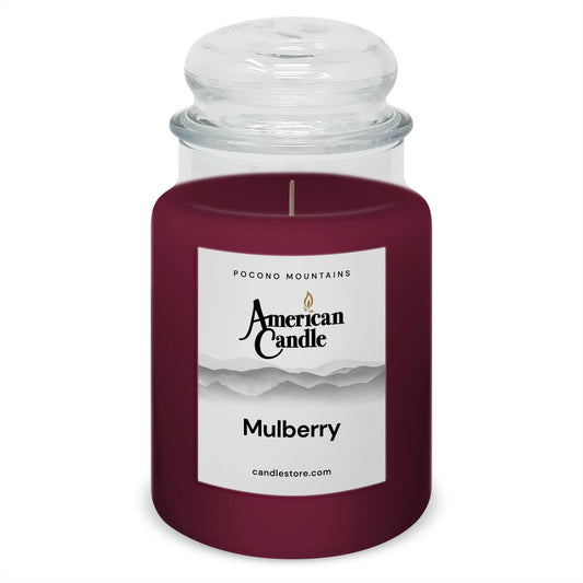 American Candle Mulberry 22 oz Glass Jar Scented Candle - Made in the USA