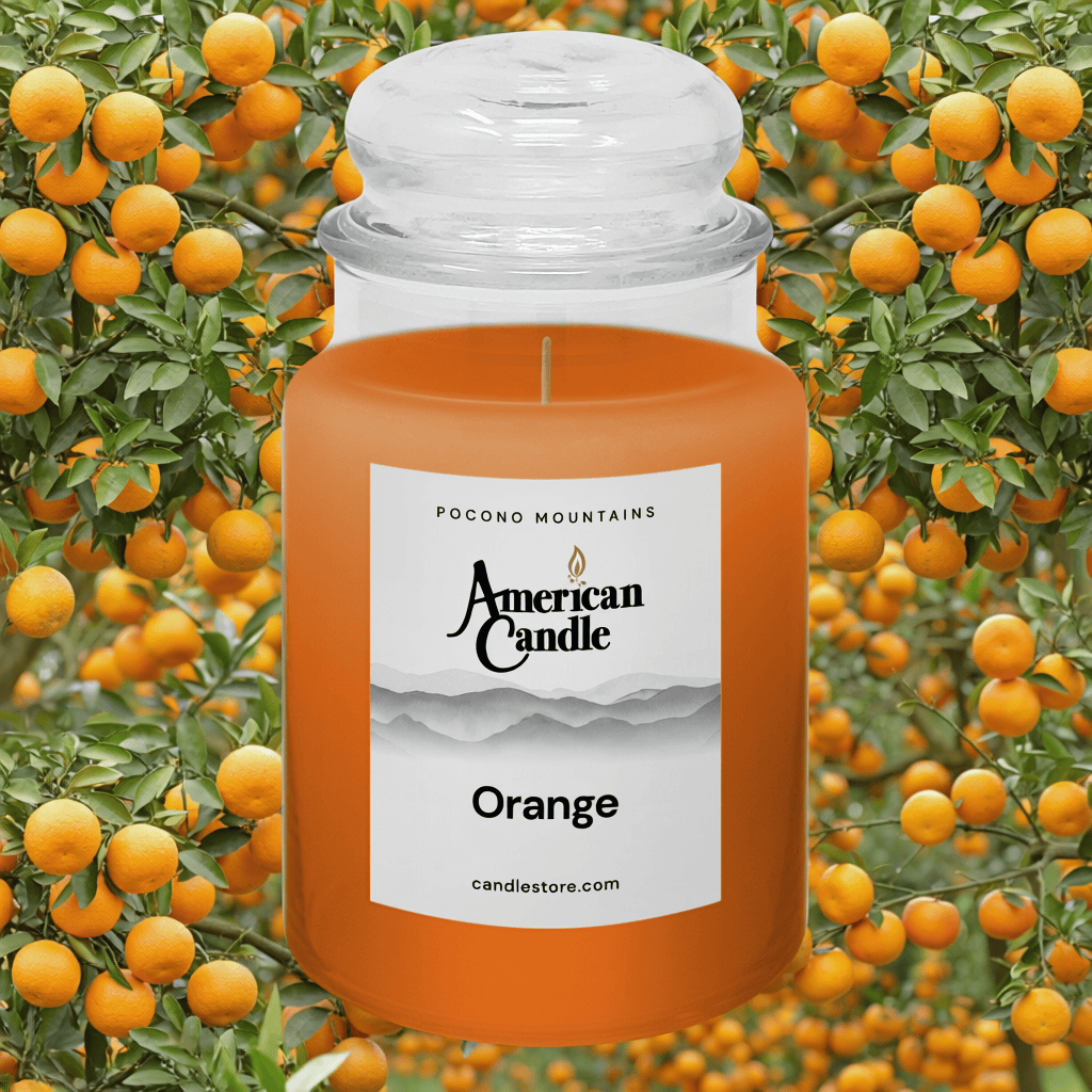 American Candle orange scented  candle in orchard full of oranges