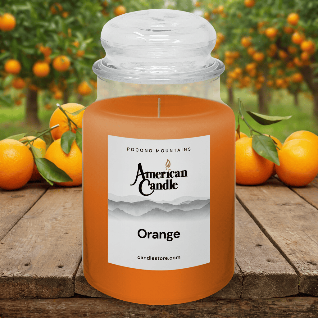 American Candle Orange scented jar candle on wooden table front of orange trees orchard