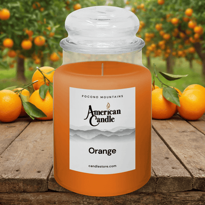 American Candle Orange scented jar candle on wooden table front of orange trees orchard