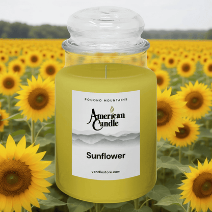 American Candle Sunflower scented Jar Candle with a sunflower field in the background
