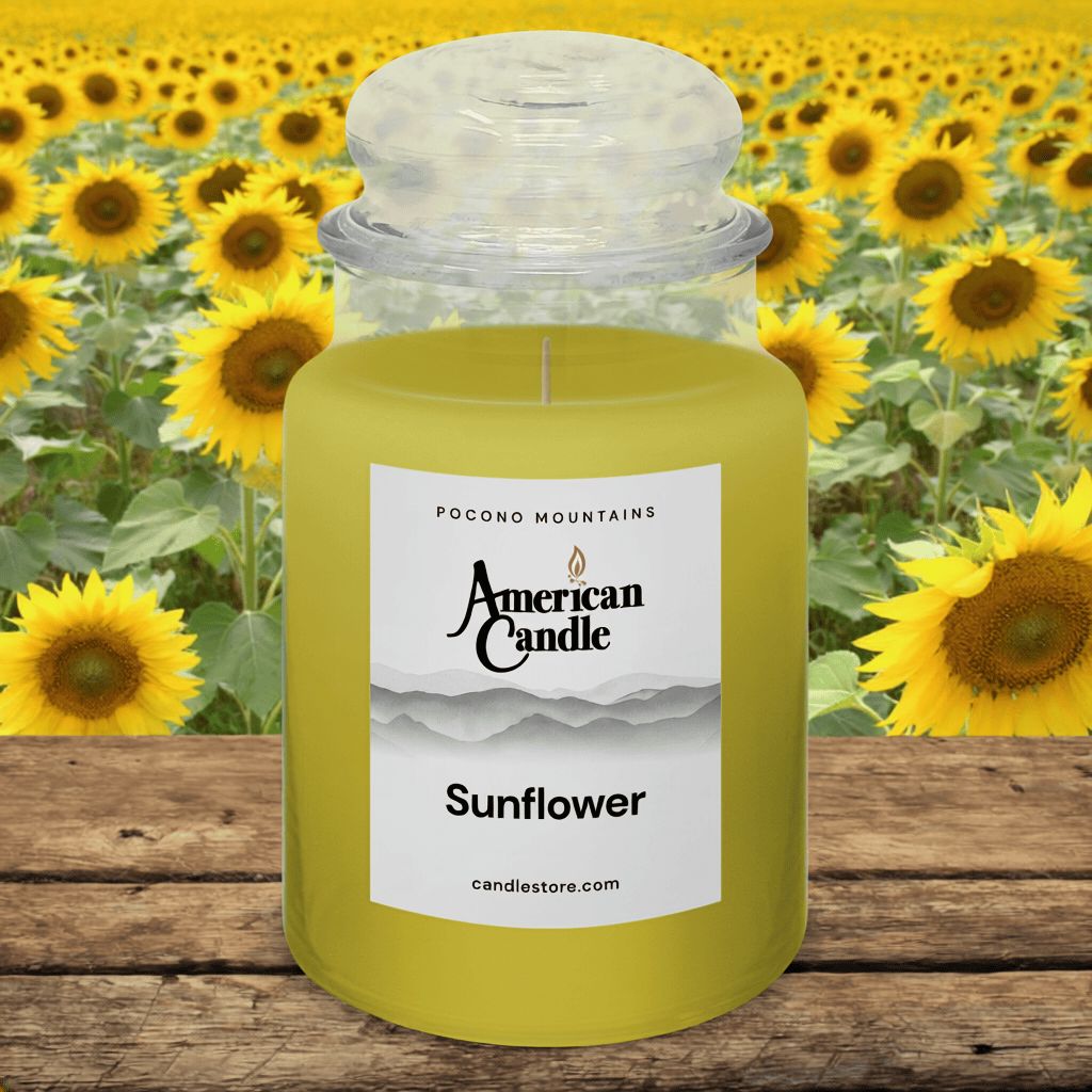 American Candle Sunflower Jar scented Candle with a sunflowers field in the background on wooden table