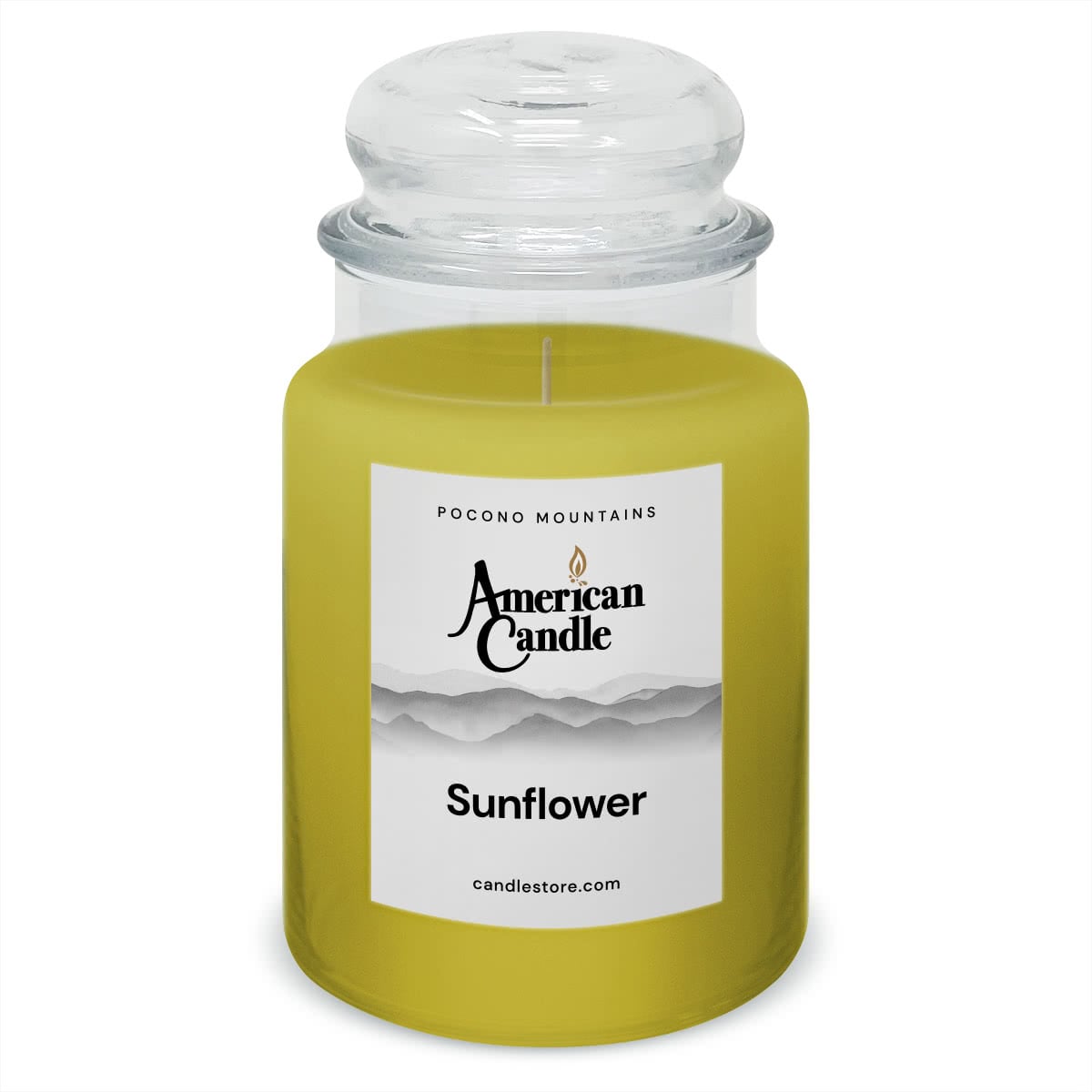 American Candle Sunflower 22 oz Glass Jar Scented Candle - Made in the USA